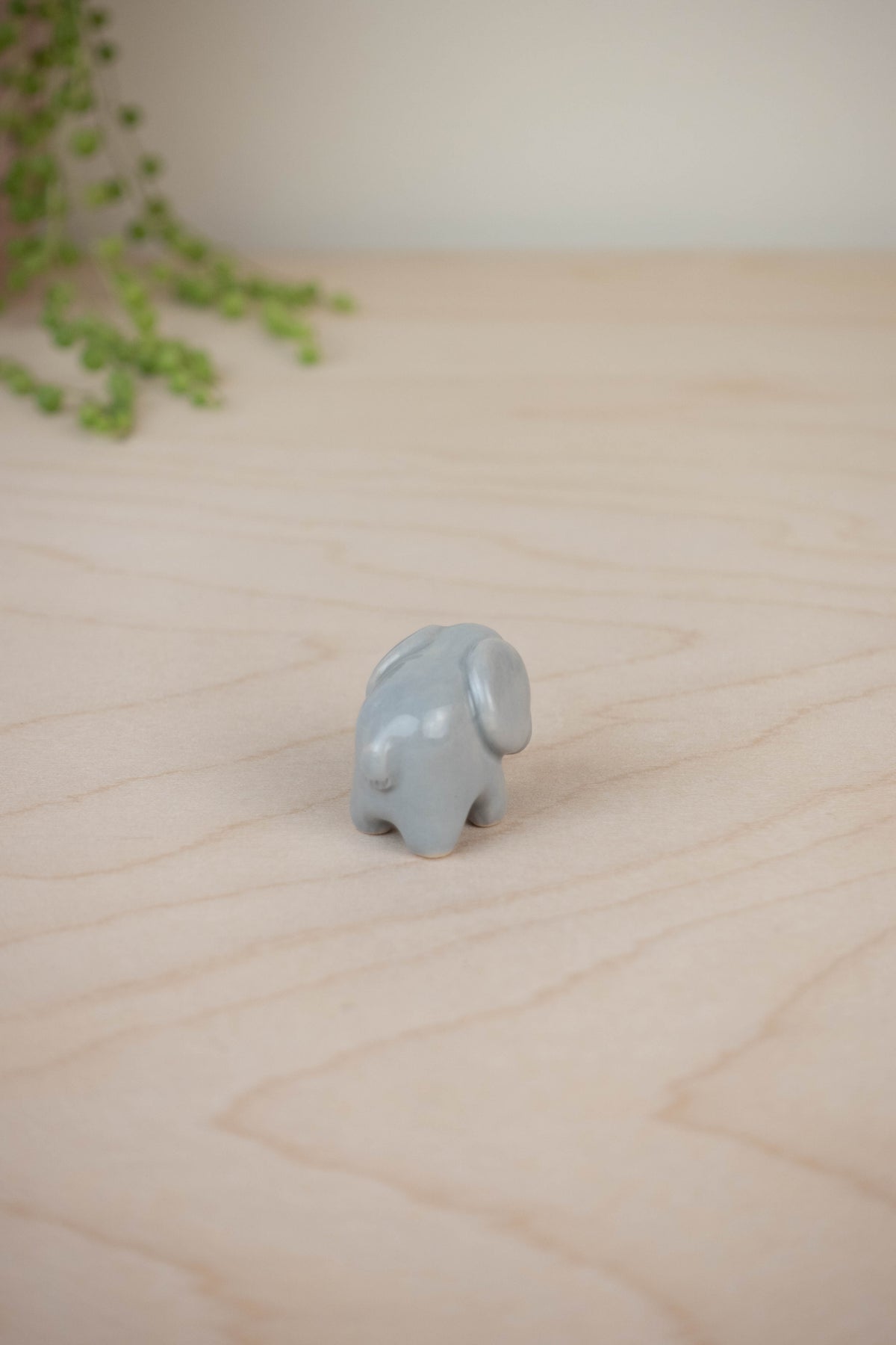 Tiny Elephant