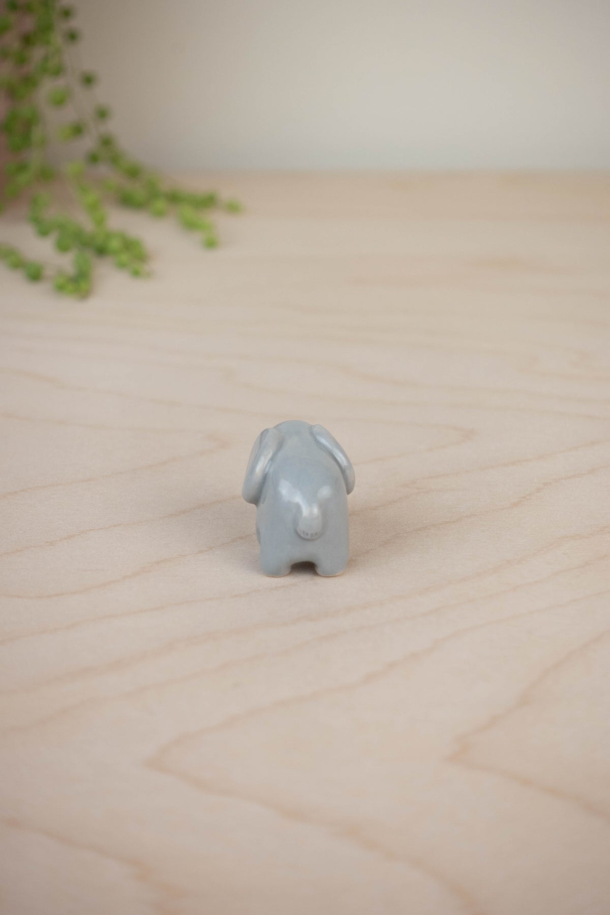 Tiny Elephant