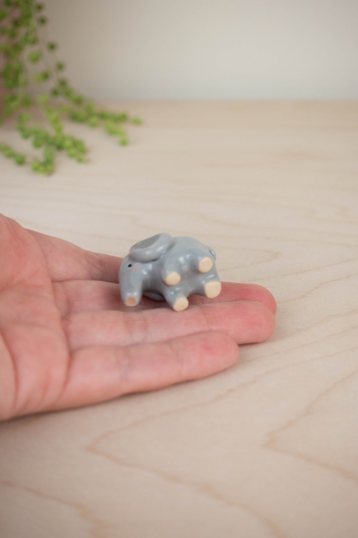 Tiny Elephant
