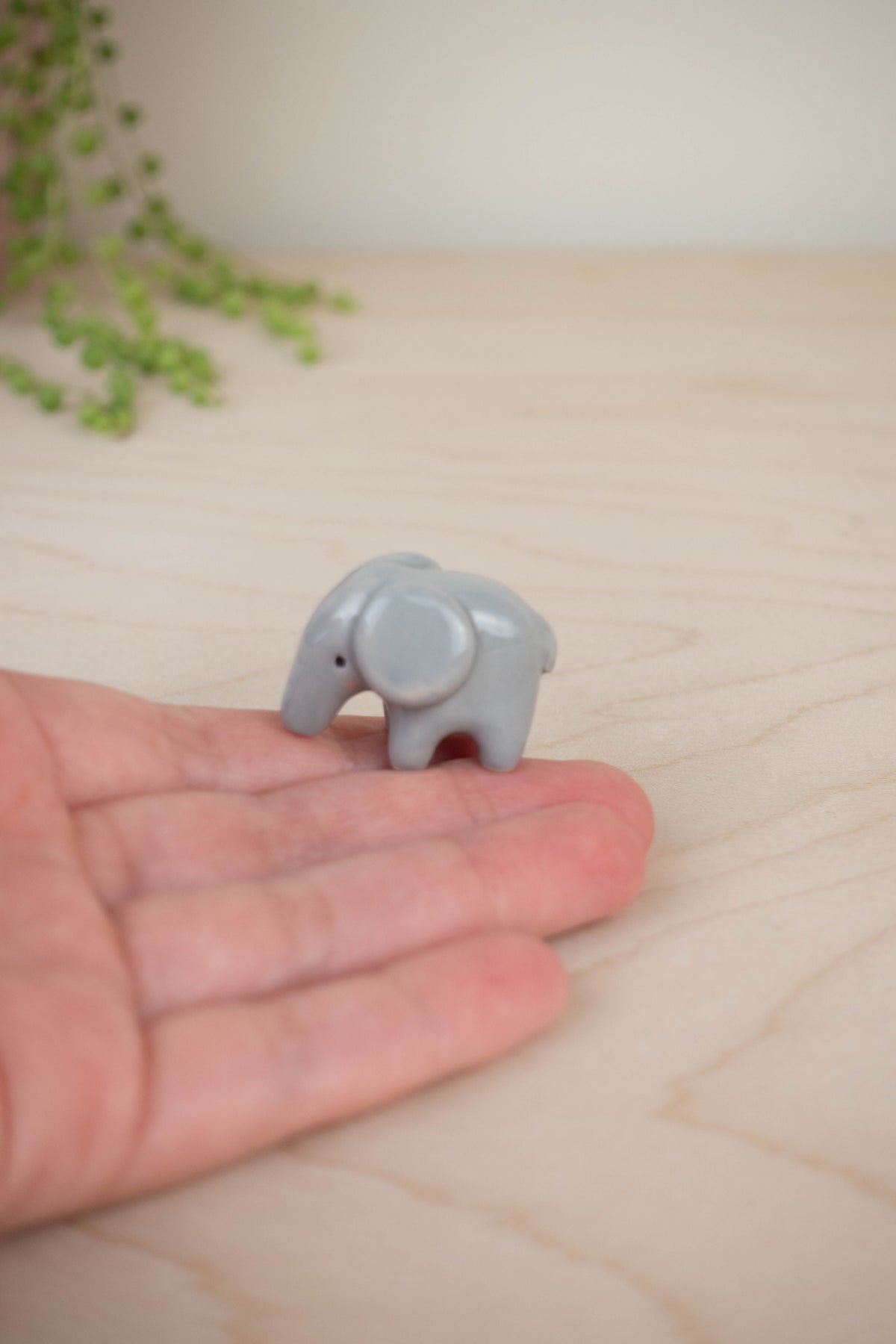 Tiny Elephant