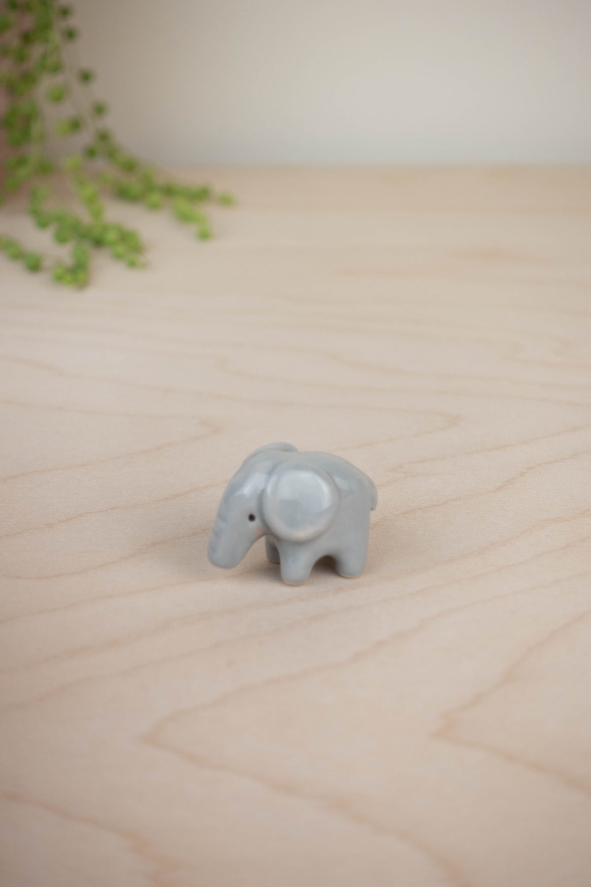 Tiny Elephant