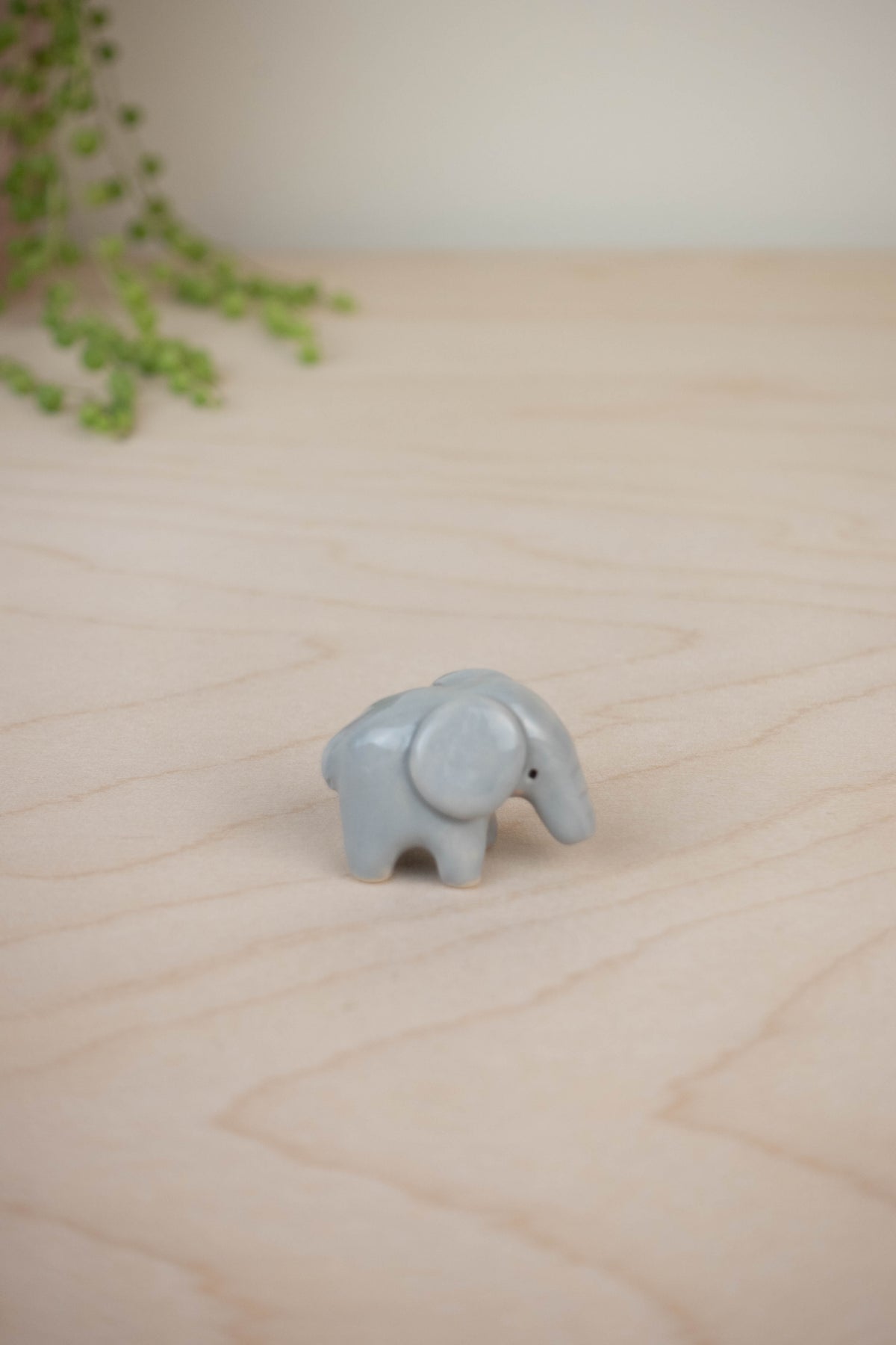 Tiny Elephant