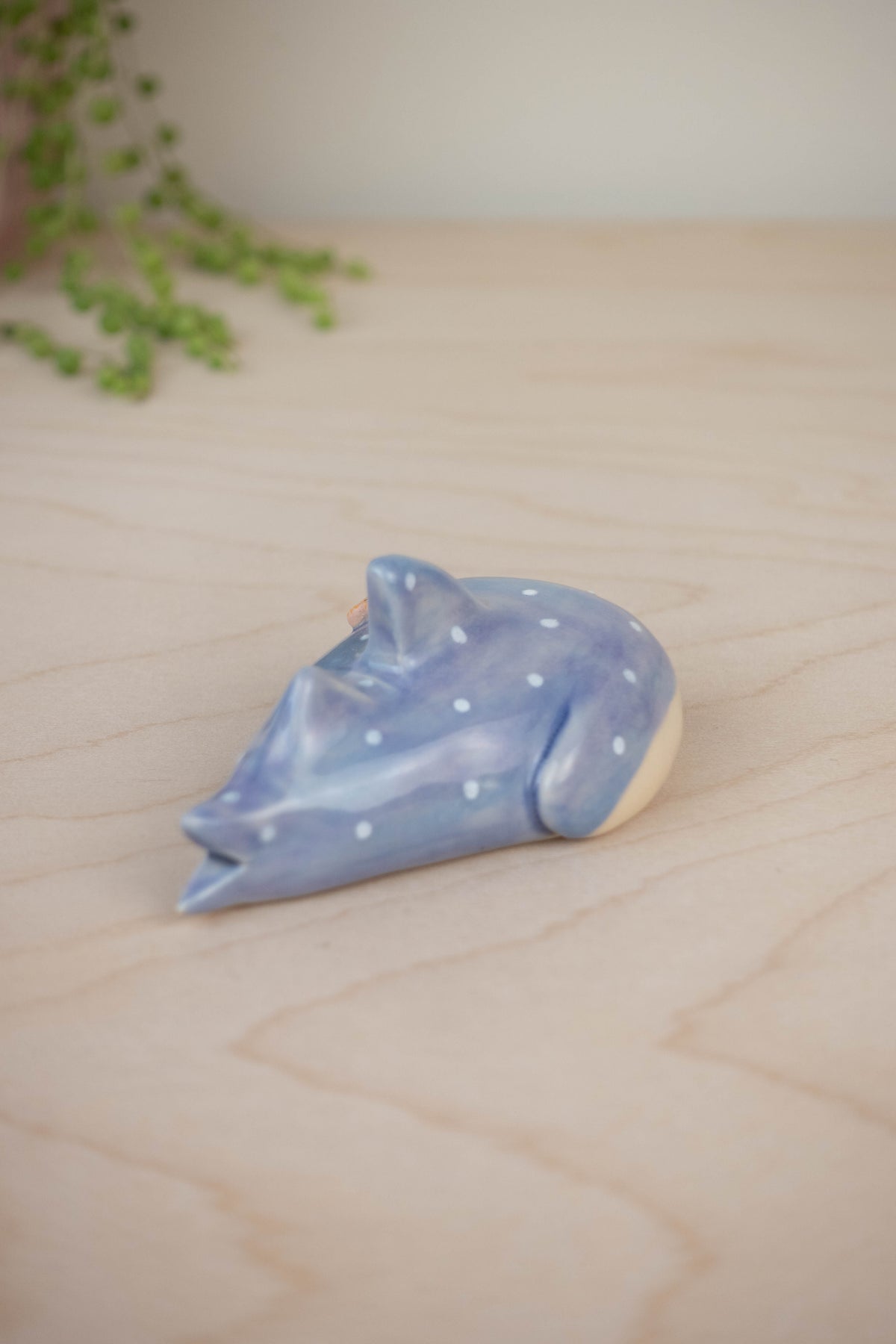Mini Whaleshark