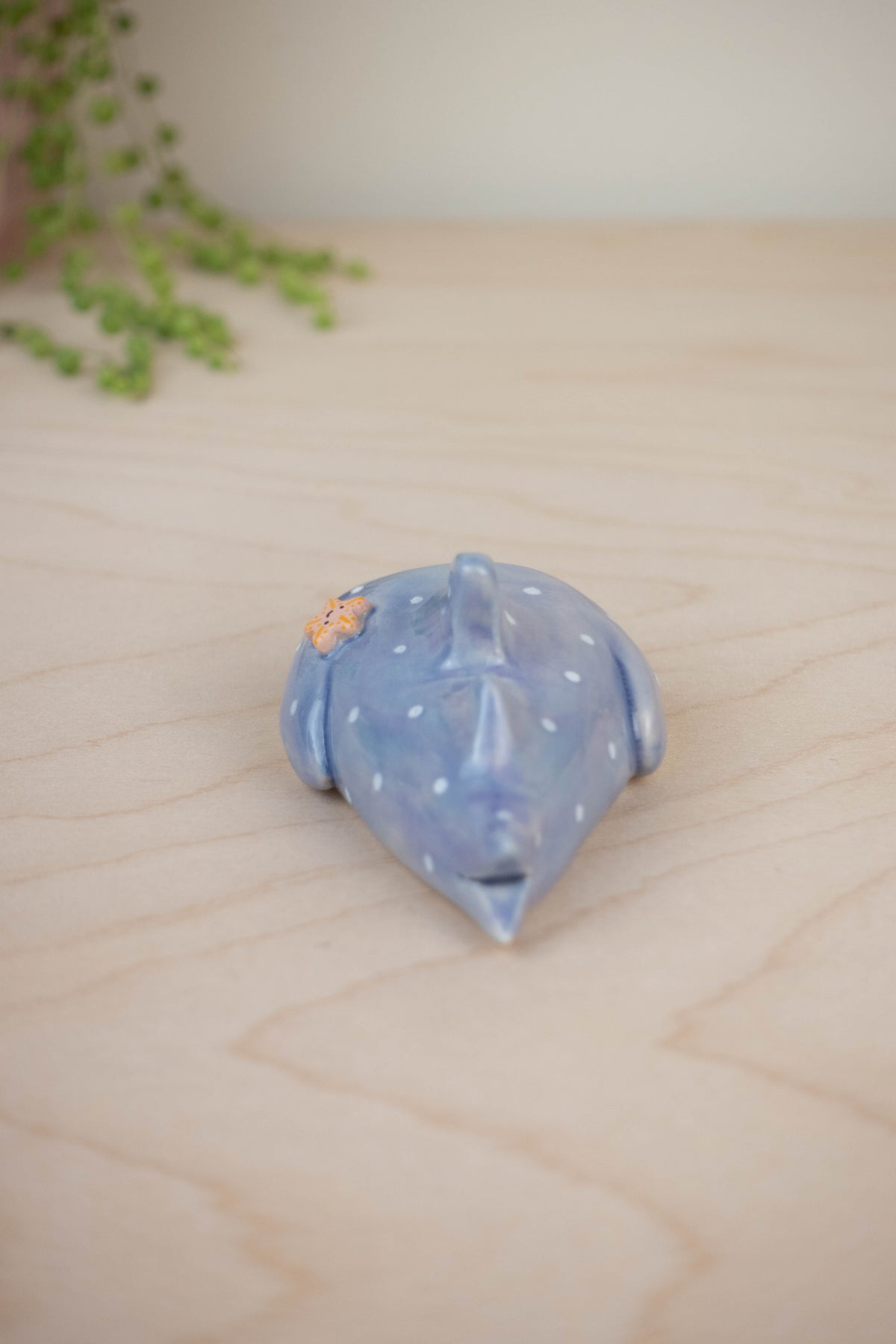 Mini Whaleshark