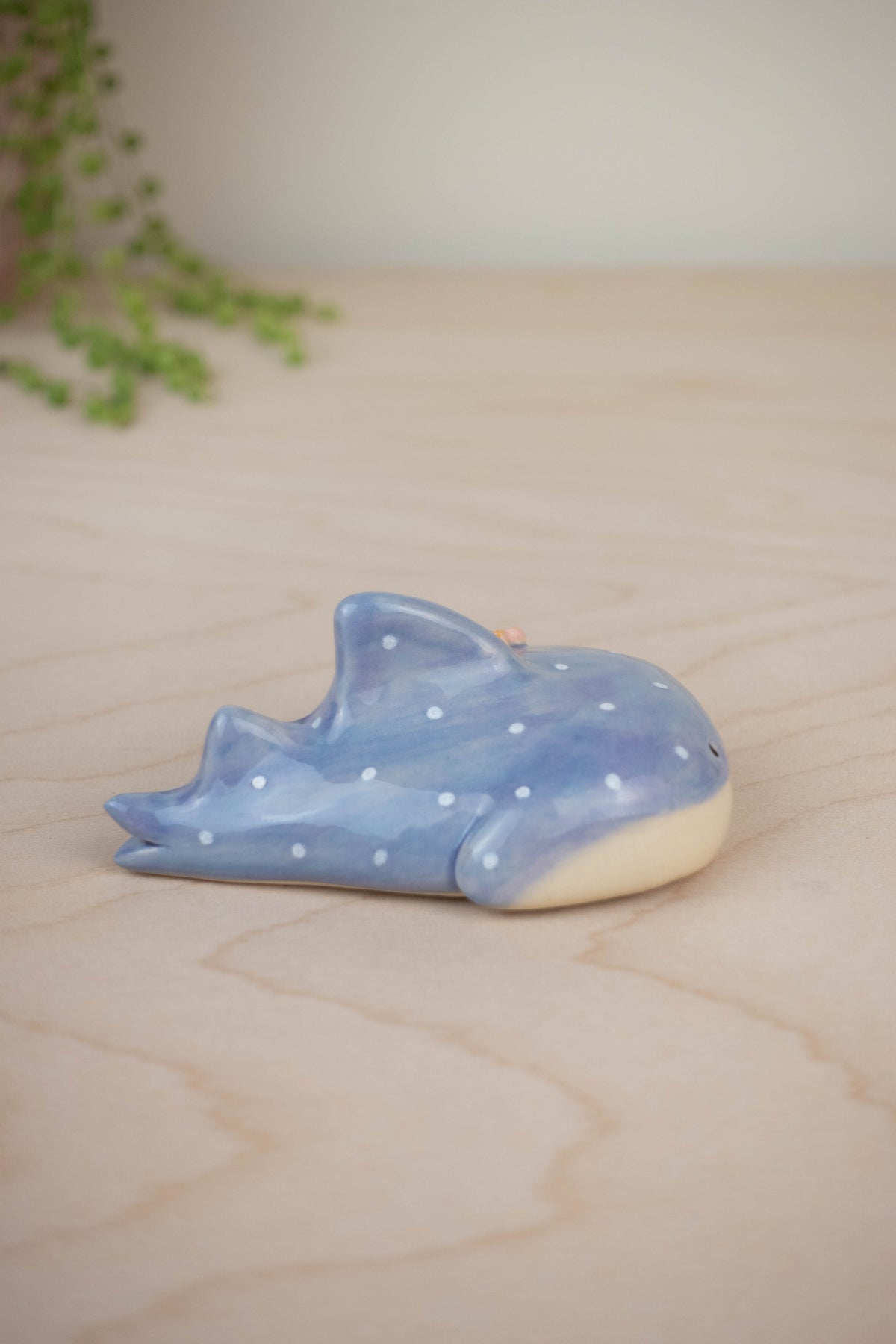 Mini Whaleshark