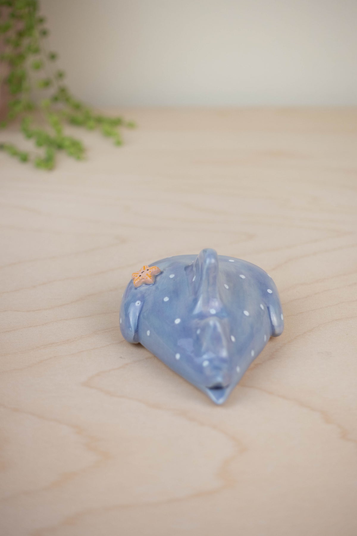 Mini Whaleshark