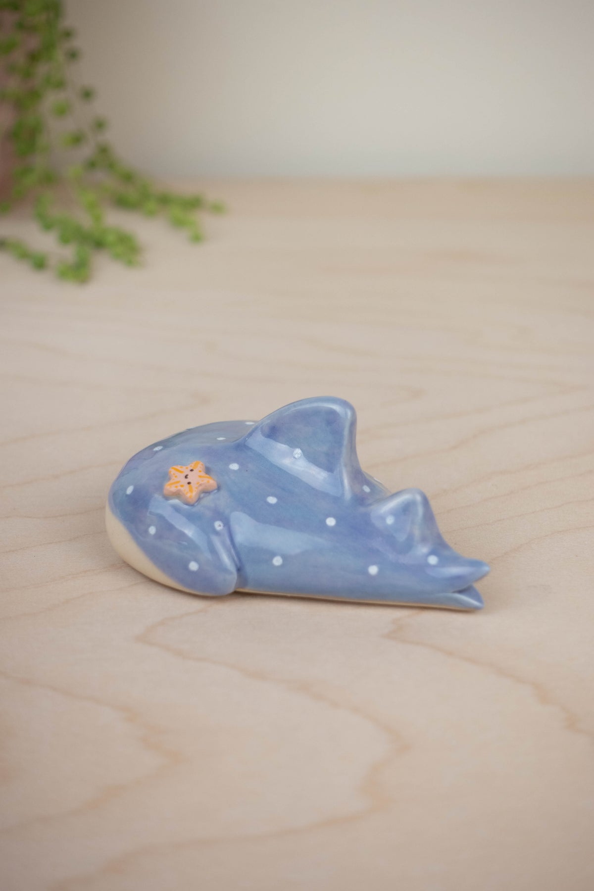 Mini Whaleshark
