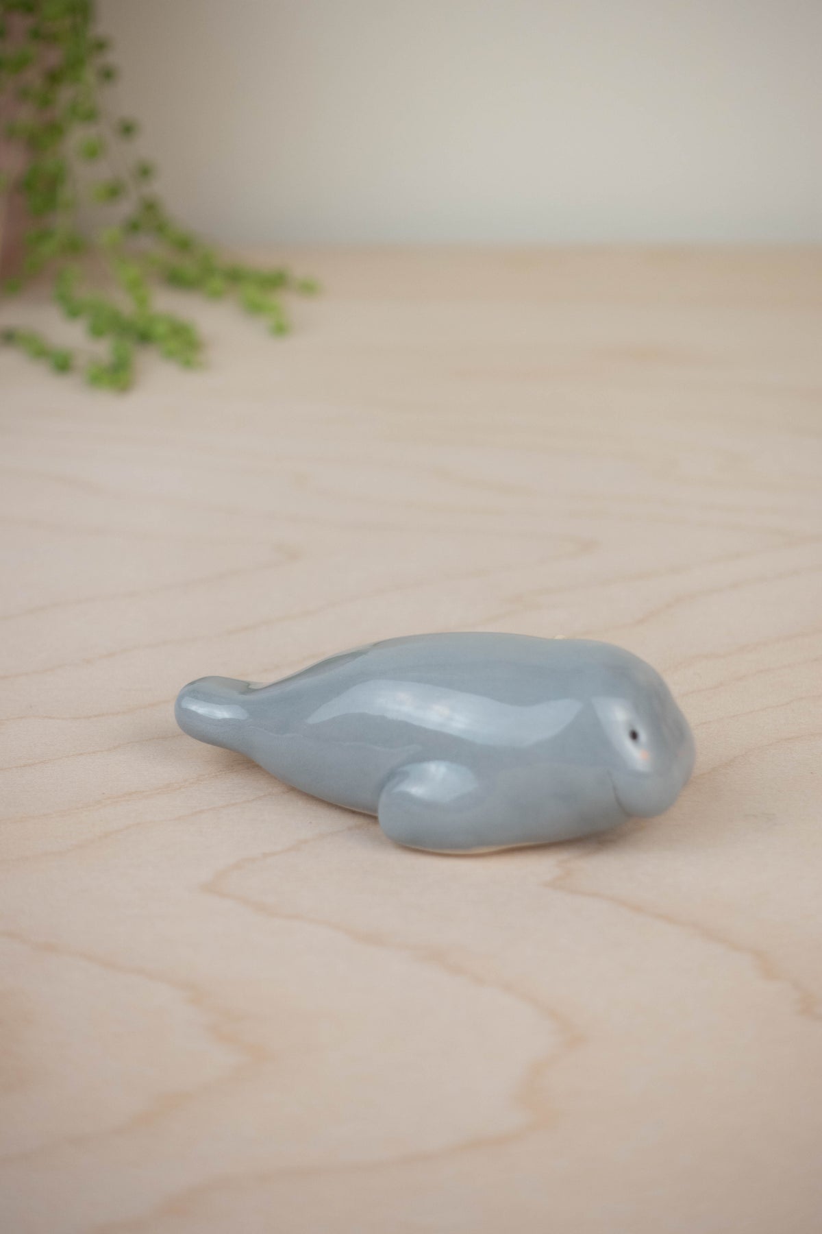 SECOND Mini Manatee