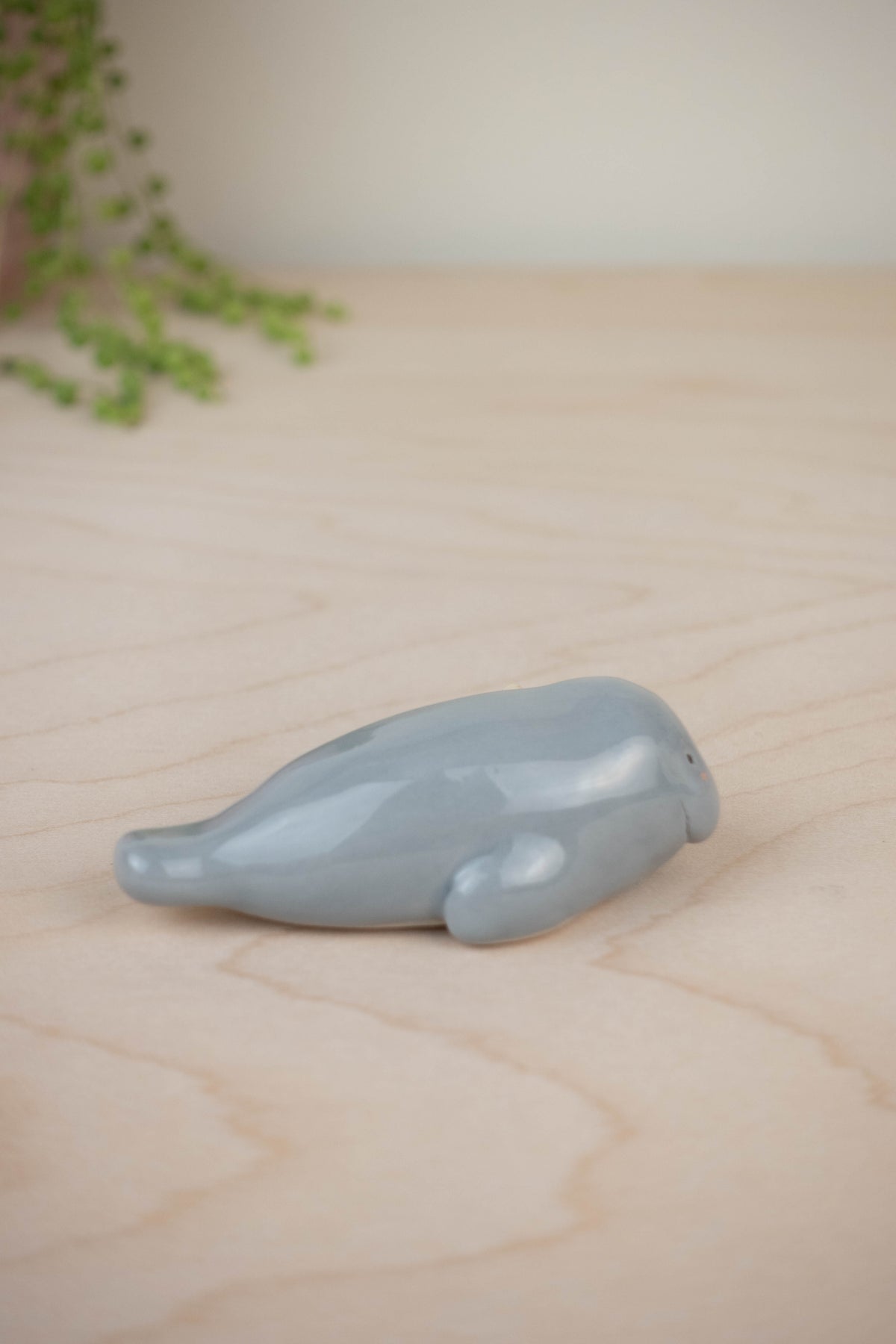 SECOND Mini Manatee