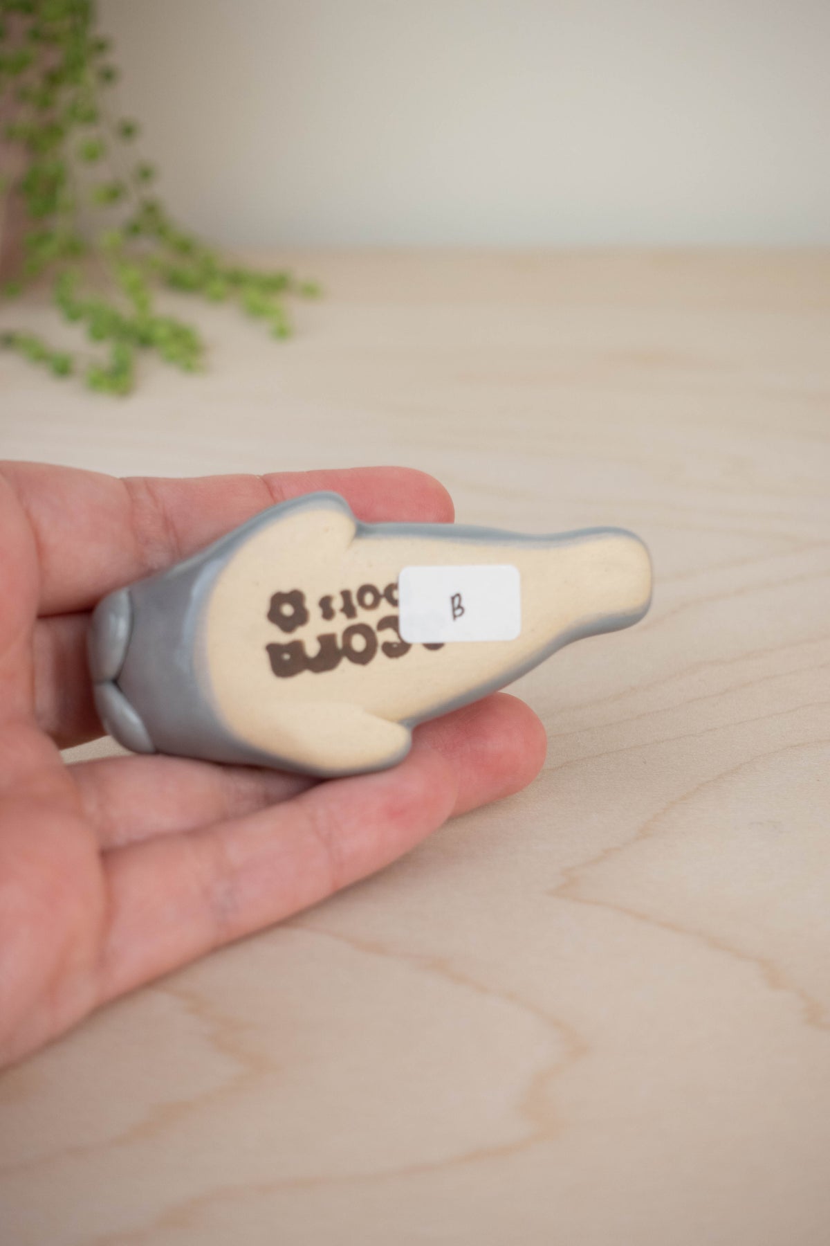 SECOND Mini Manatee