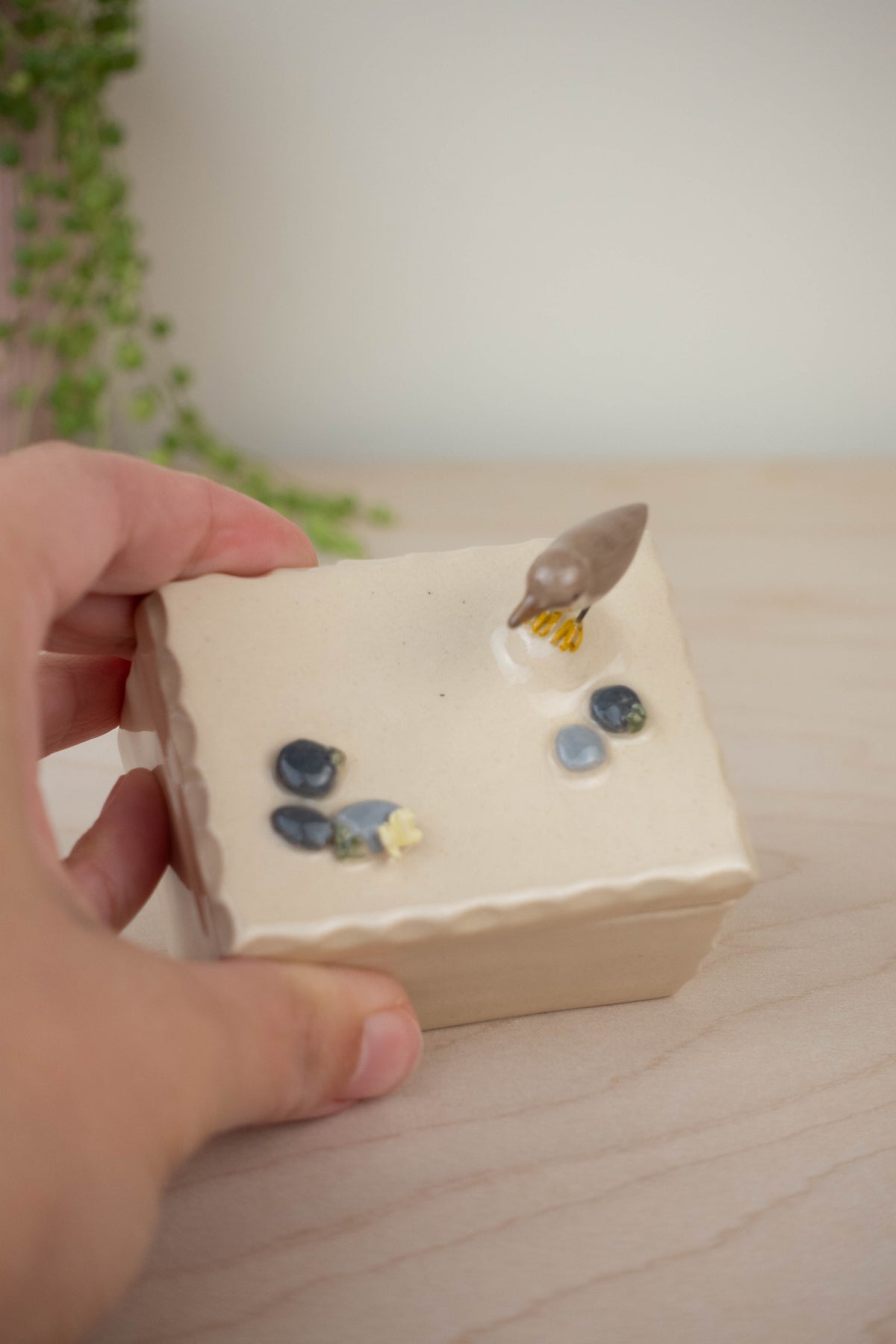 SECOND Tiny Trinket Box: Spotted Sandpiper
