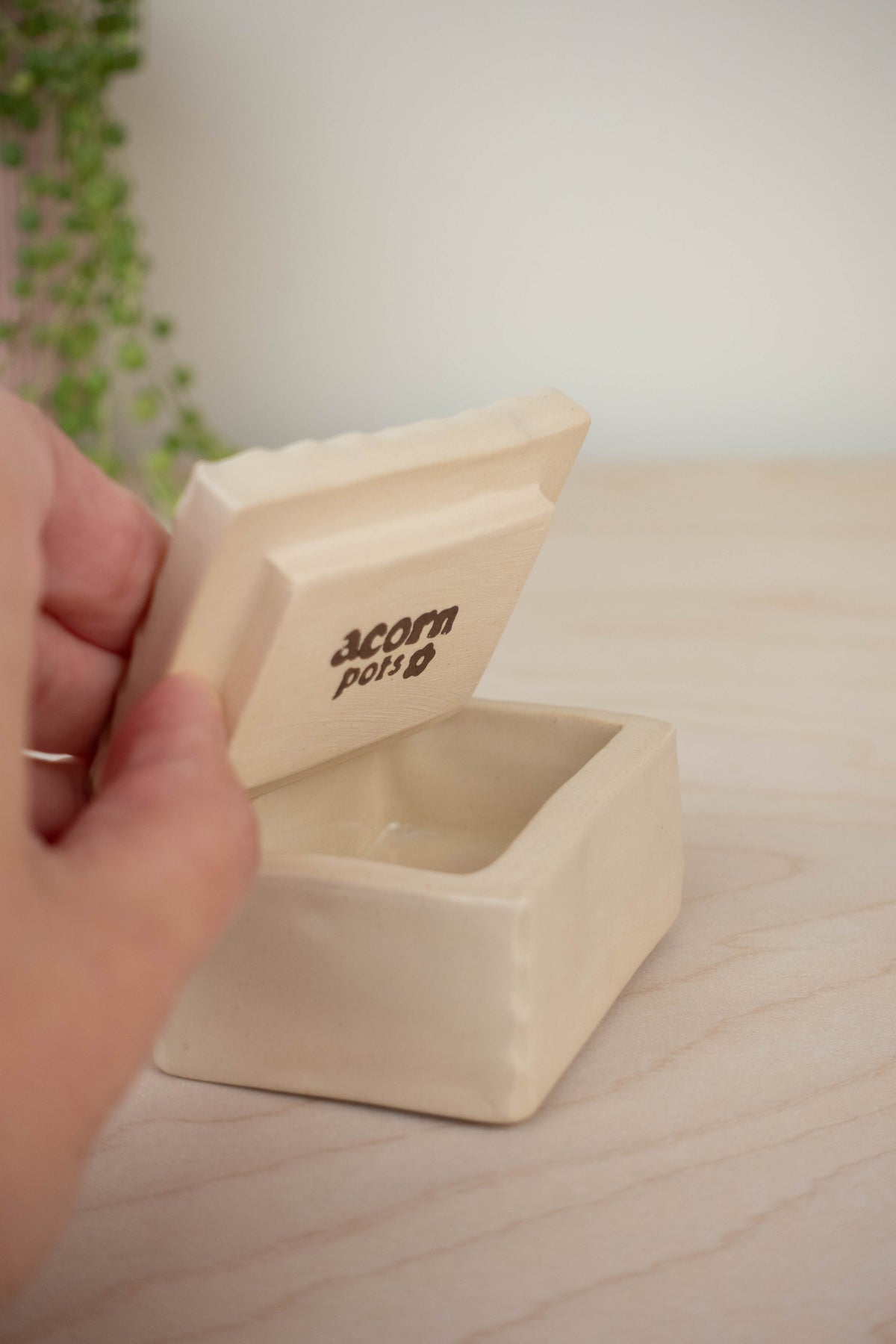 SECOND Tiny Trinket Box: Spotted Sandpiper