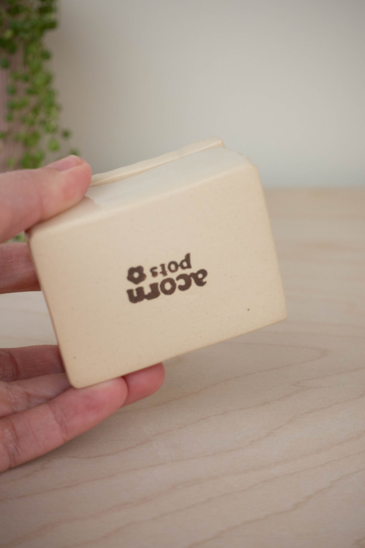 SECOND Tiny Trinket Box: Spotted Sandpiper