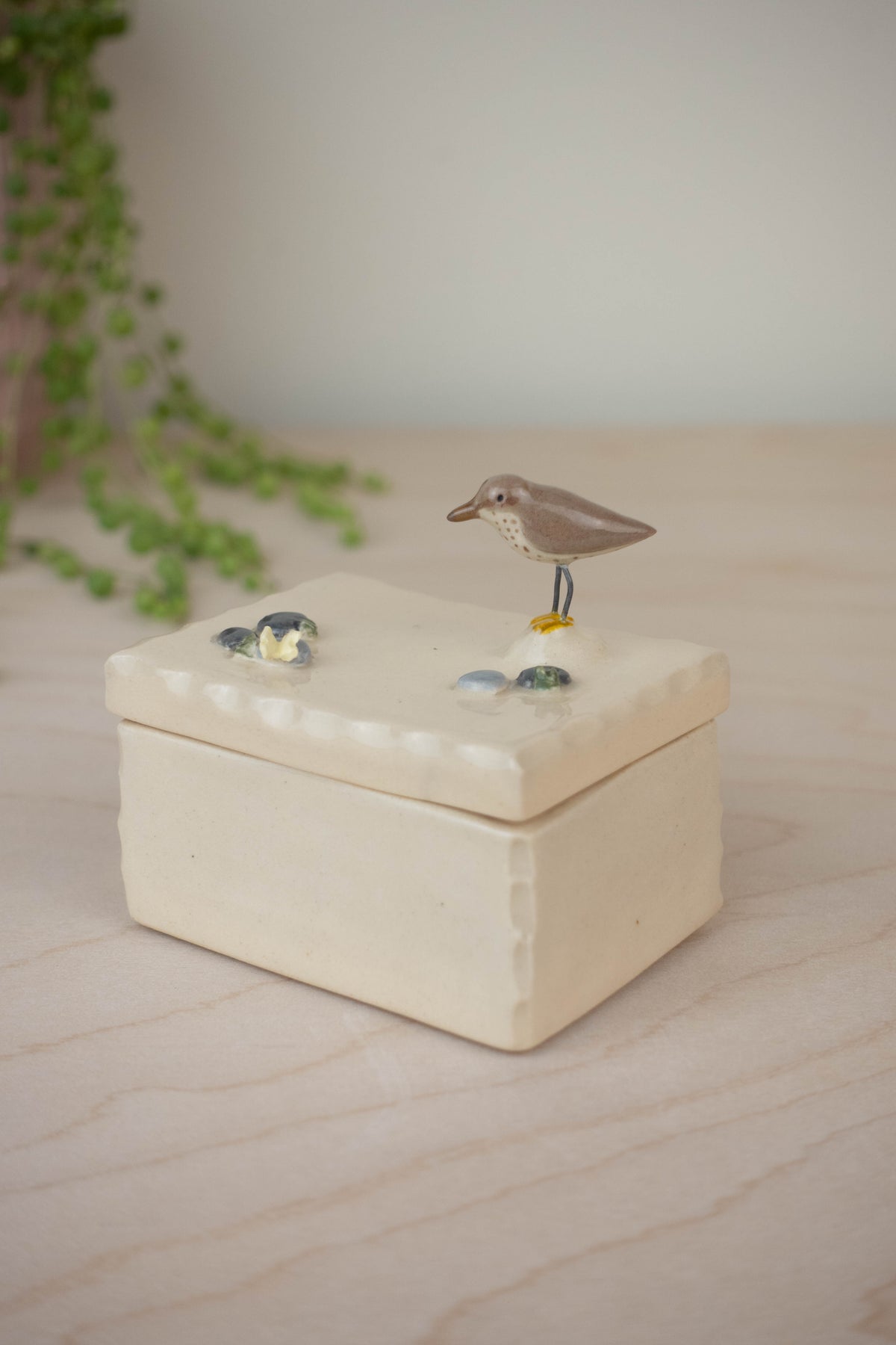 SECOND Tiny Trinket Box: Spotted Sandpiper