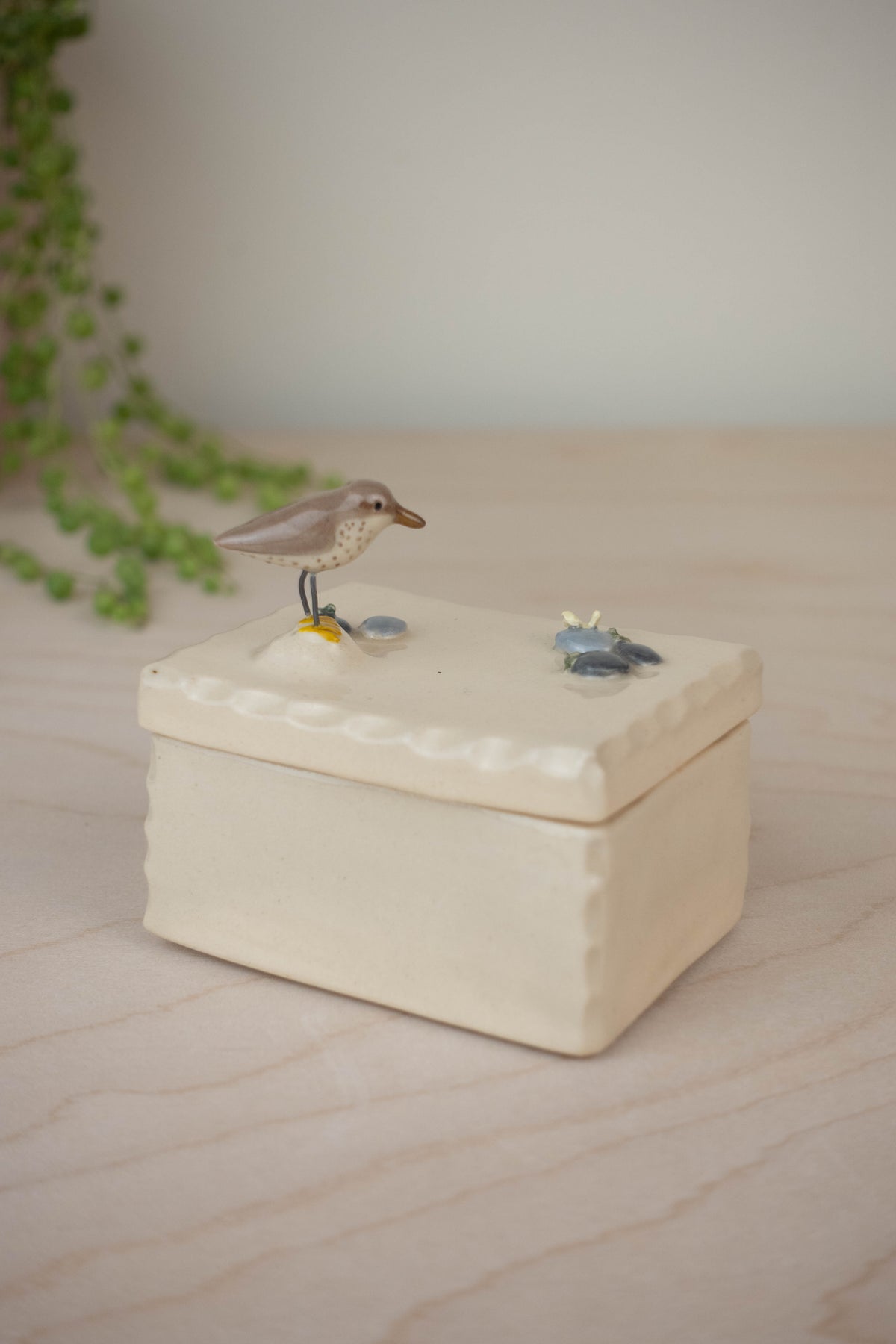 SECOND Tiny Trinket Box: Spotted Sandpiper