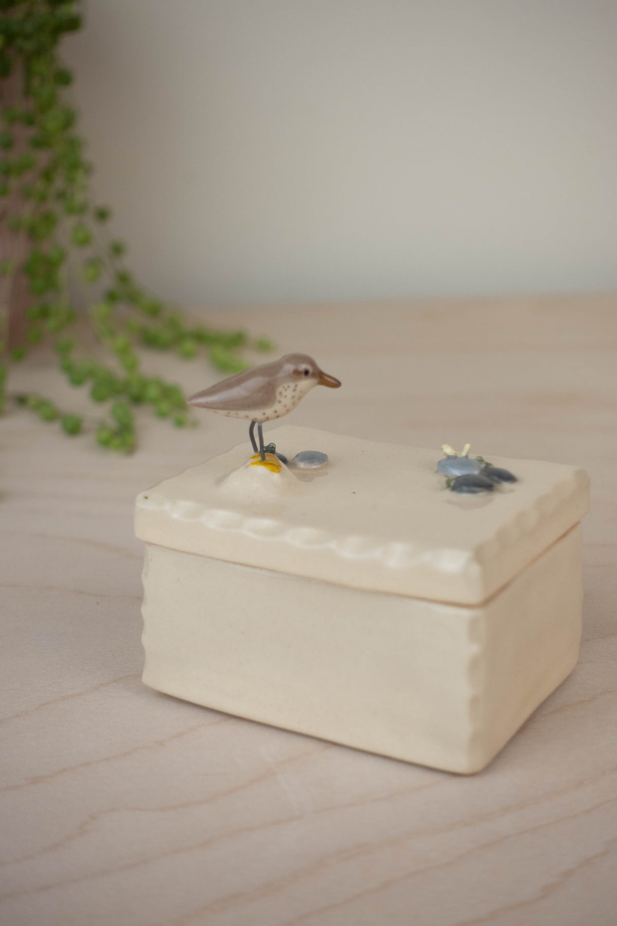 SECOND Tiny Trinket Box: Spotted Sandpiper