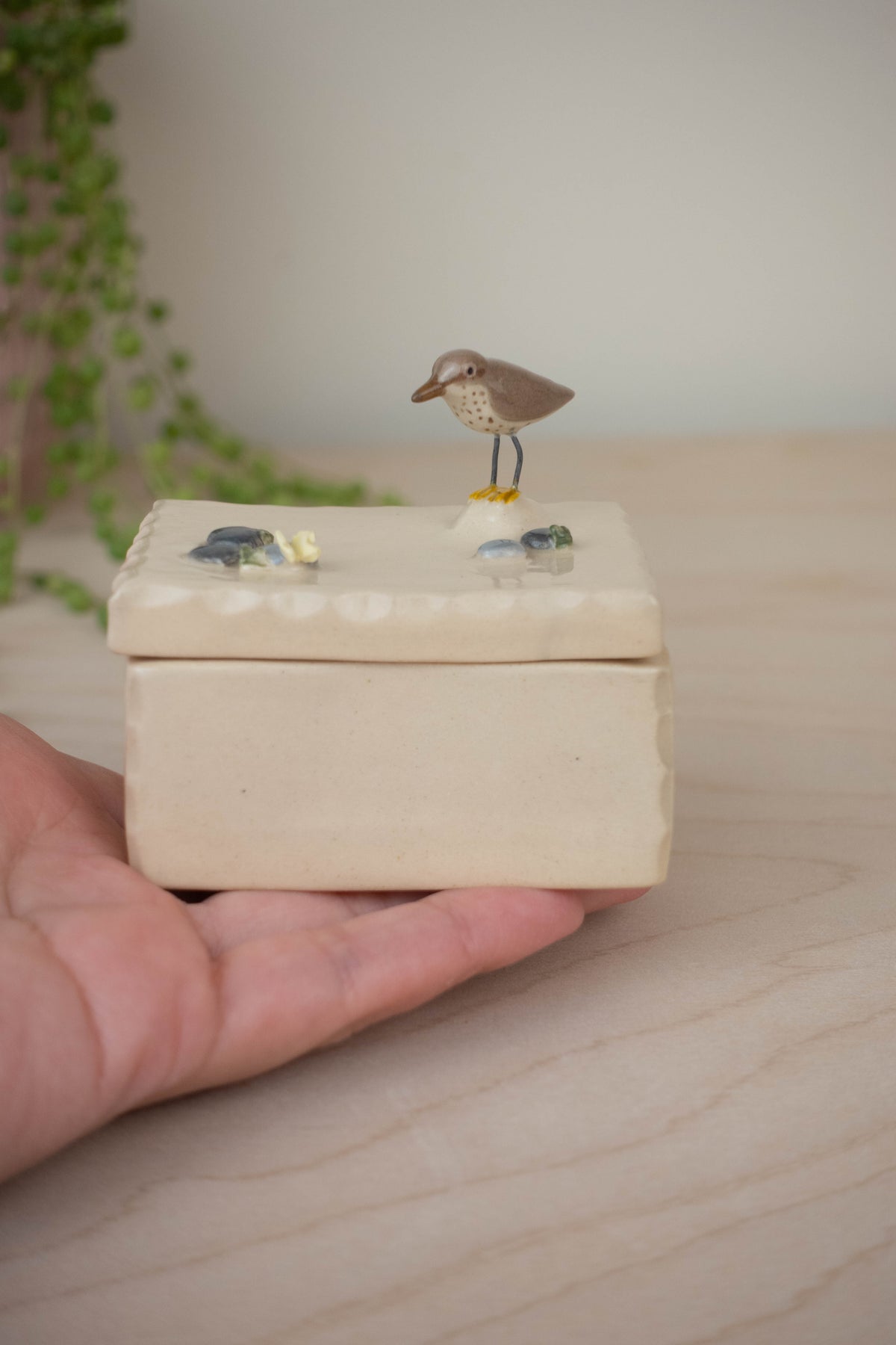 SECOND Tiny Trinket Box: Spotted Sandpiper