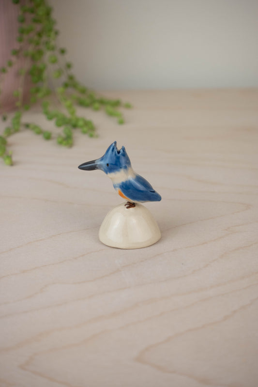 Bird Model: Belted Kingfisher