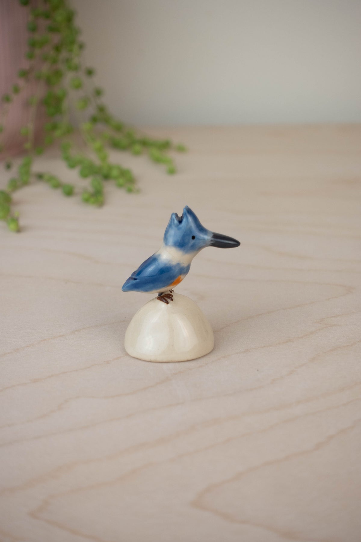 Bird Model: Belted Kingfisher
