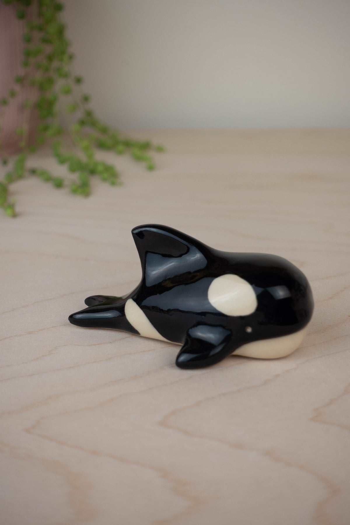 Mini Orca