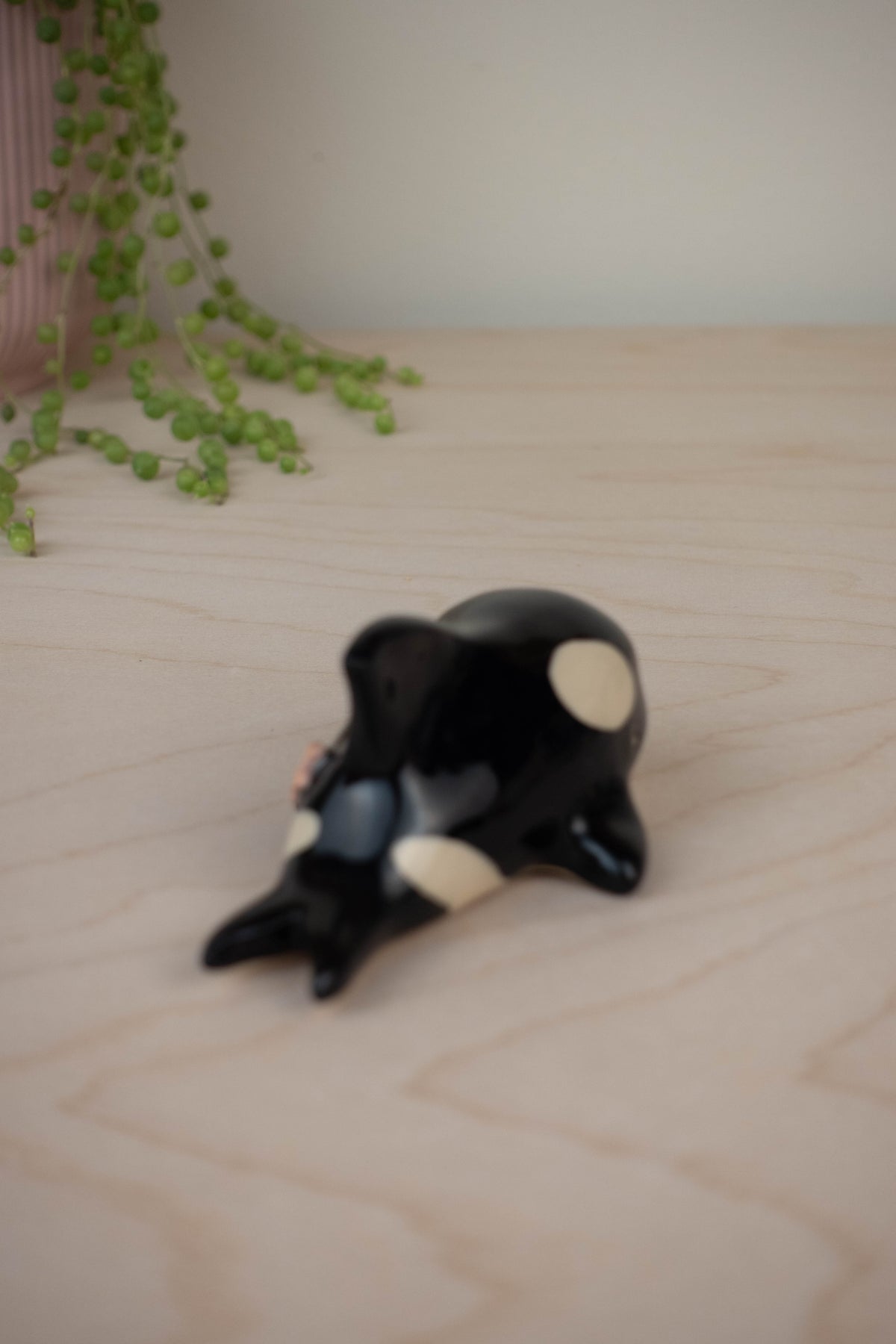 Mini Orca