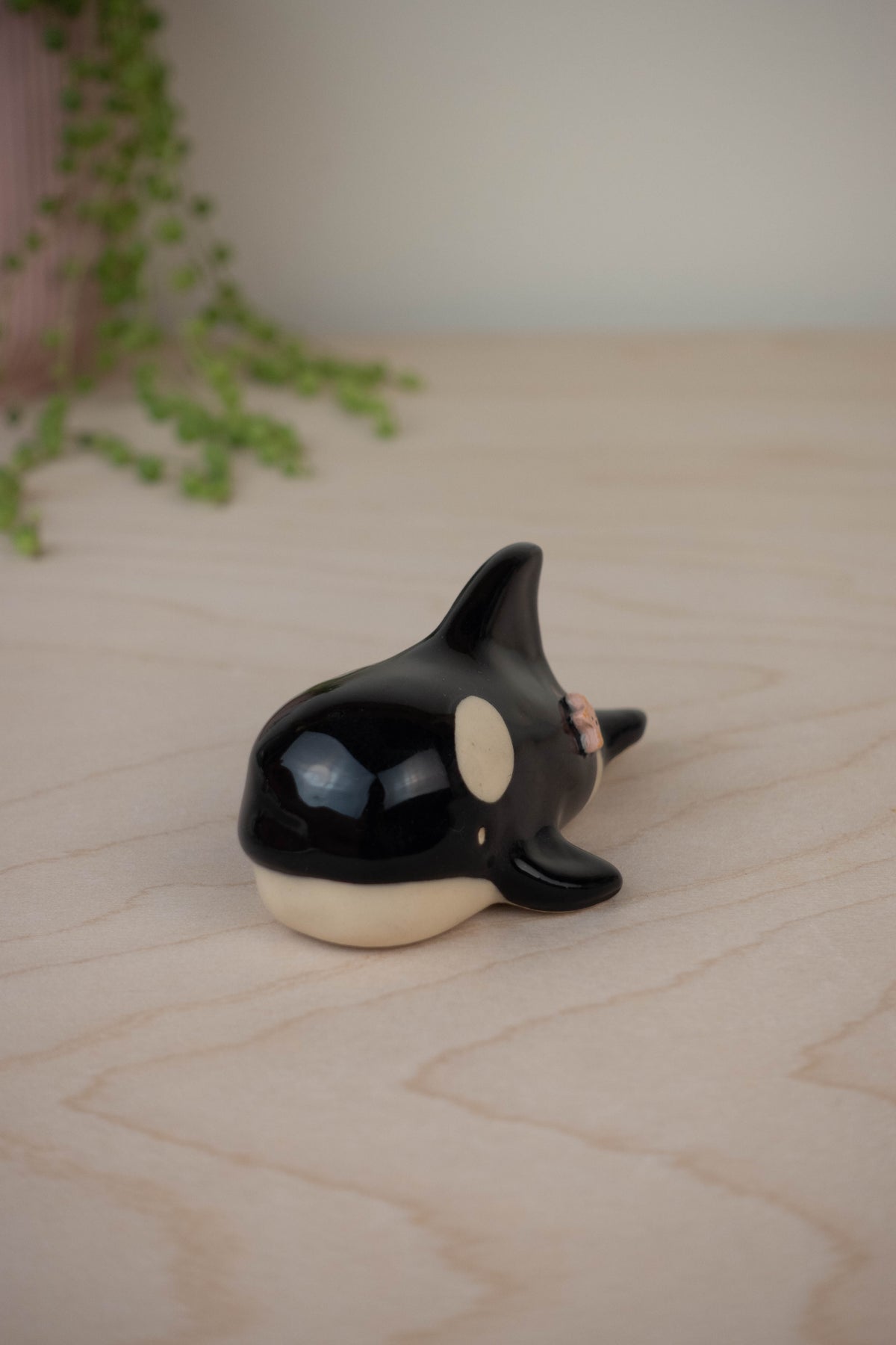 Mini Orca
