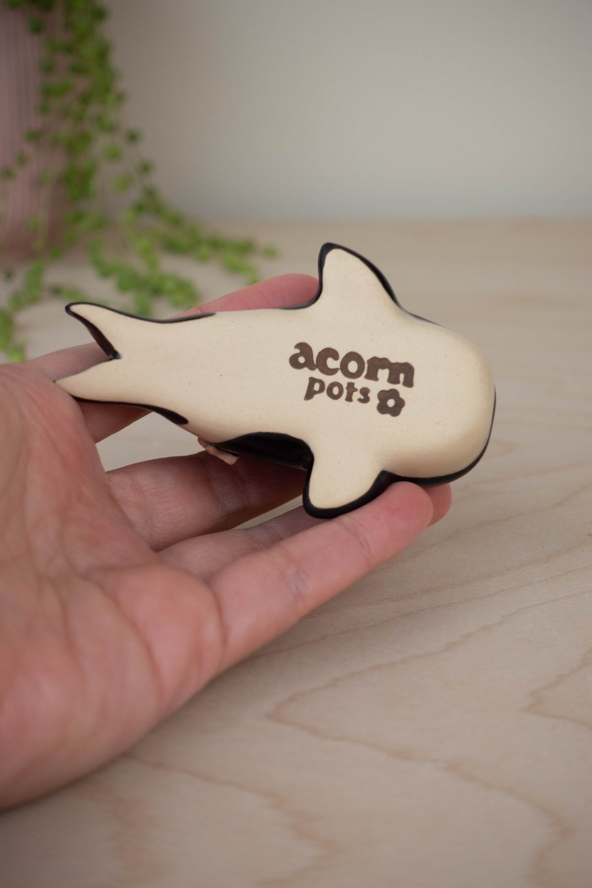 Mini Orca