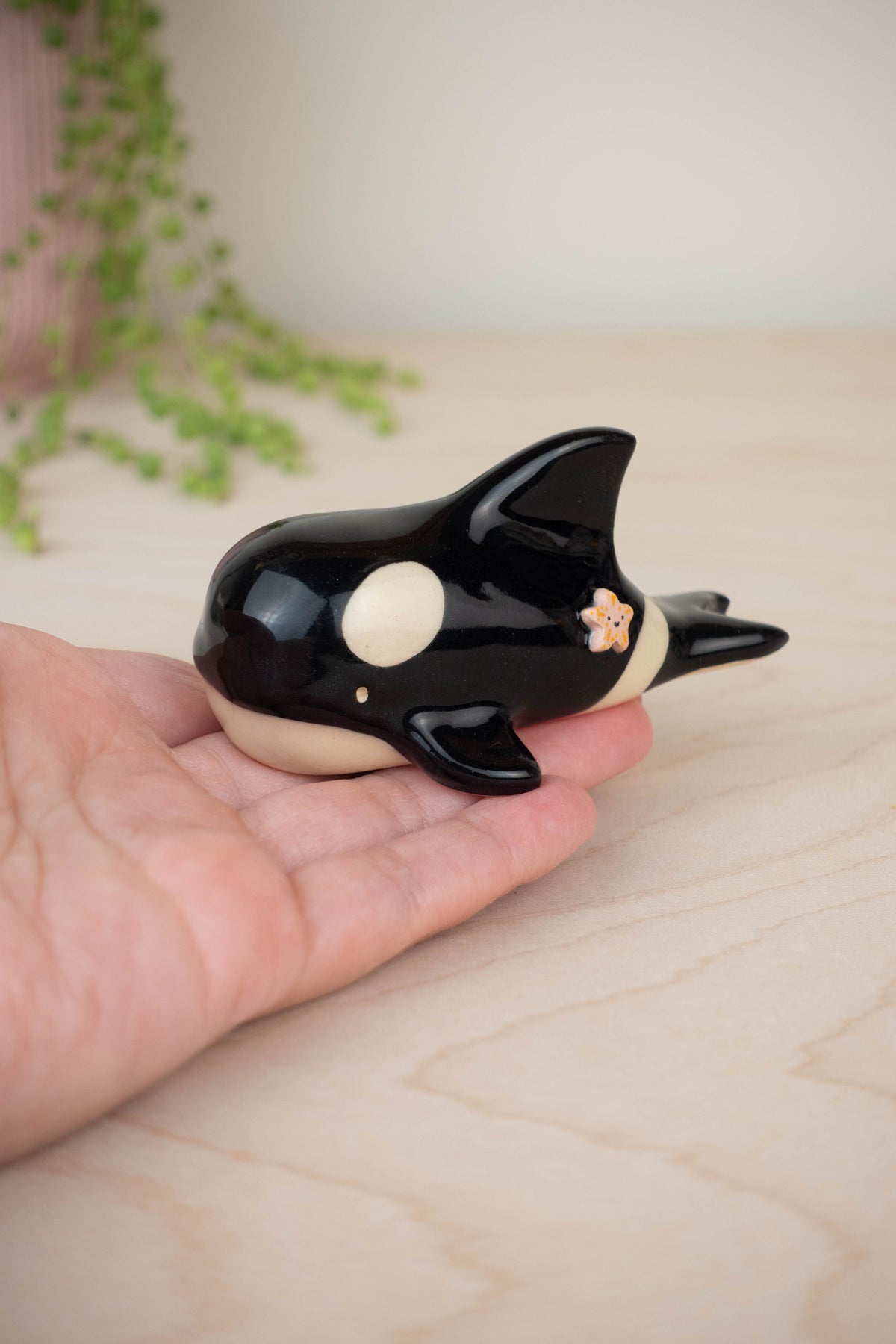 Mini Orca