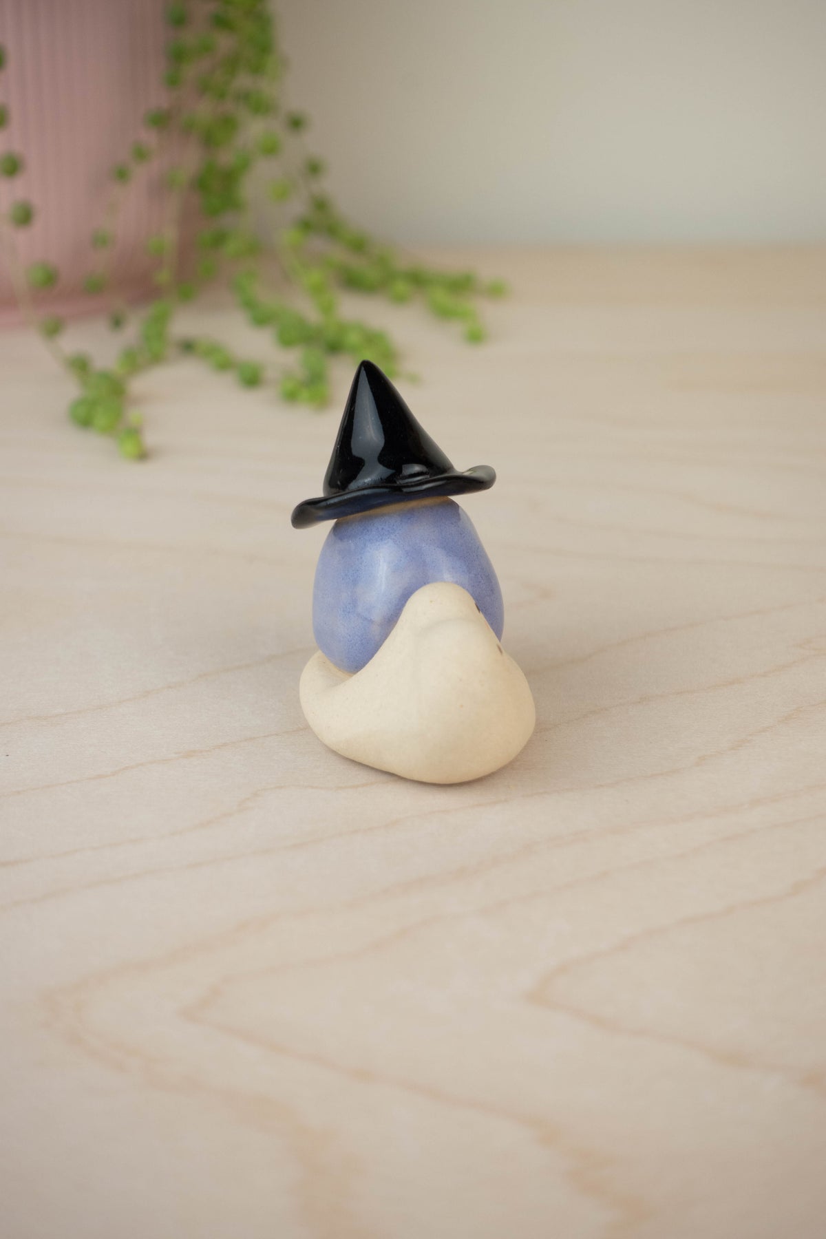 Mini Witch Snail