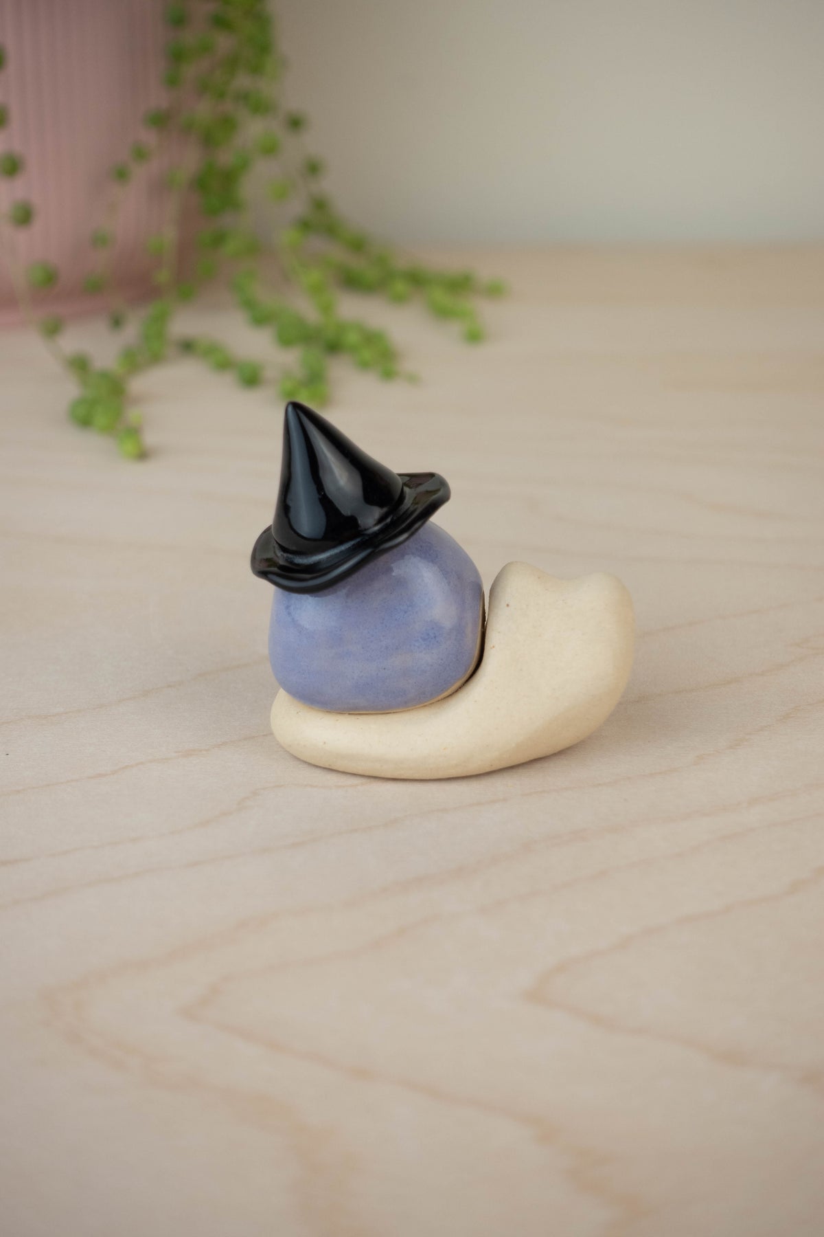 Mini Witch Snail
