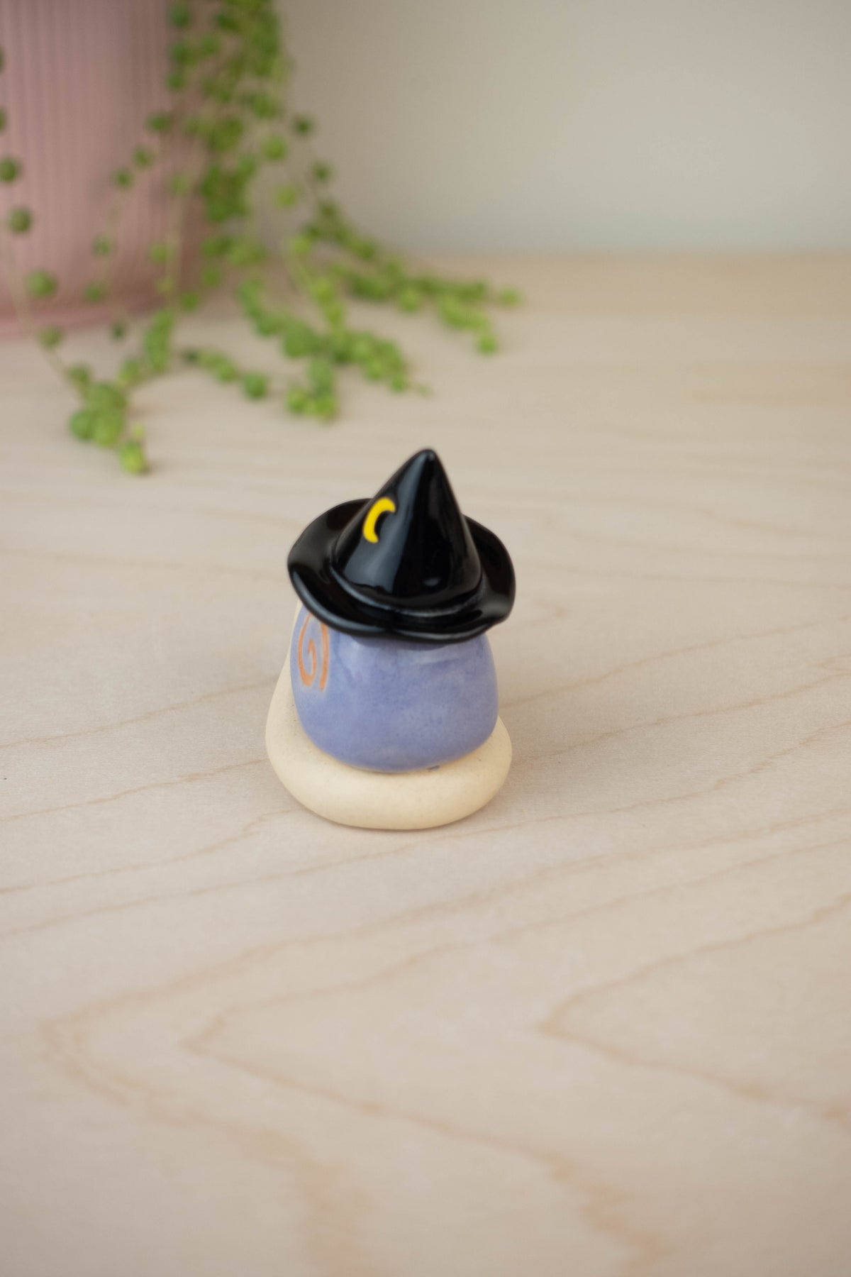 Mini Witch Snail