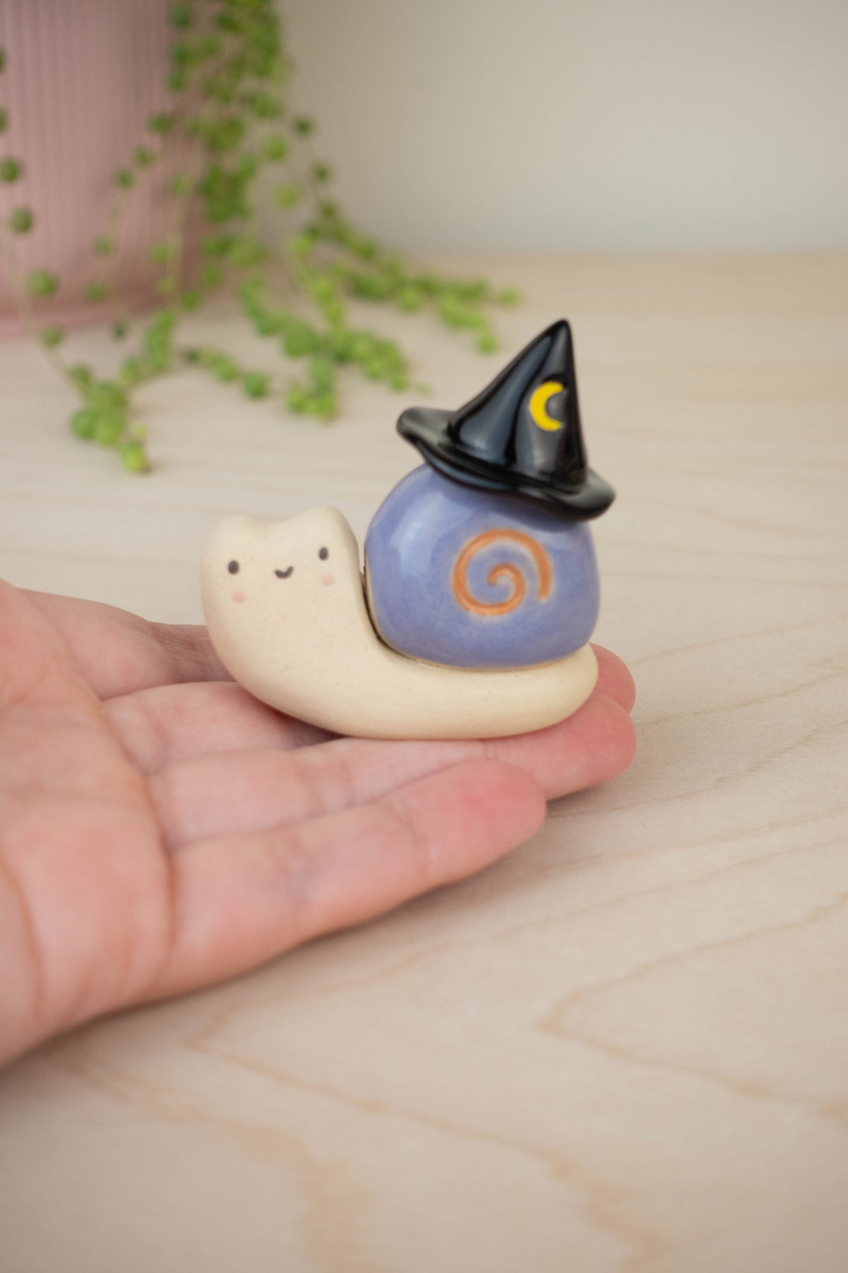 Mini Witch Snail