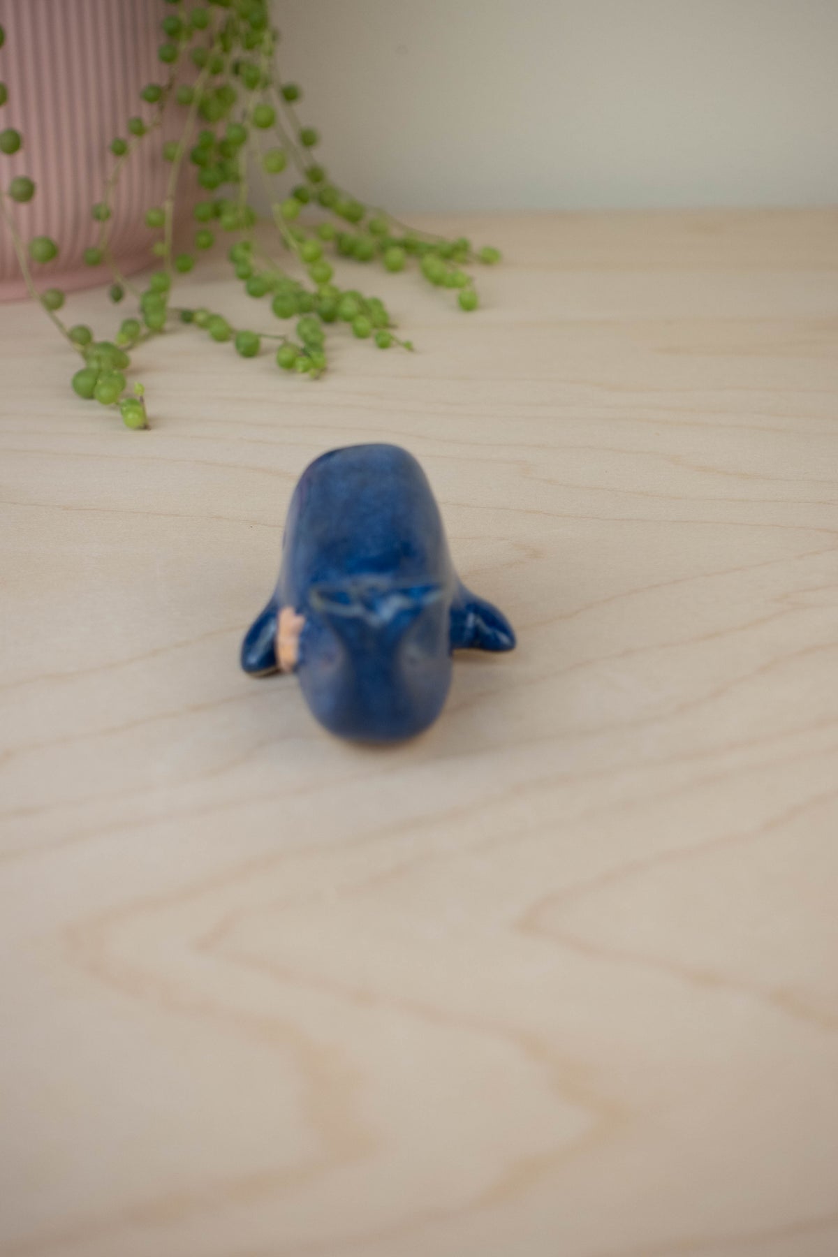 Mini Blue Whale