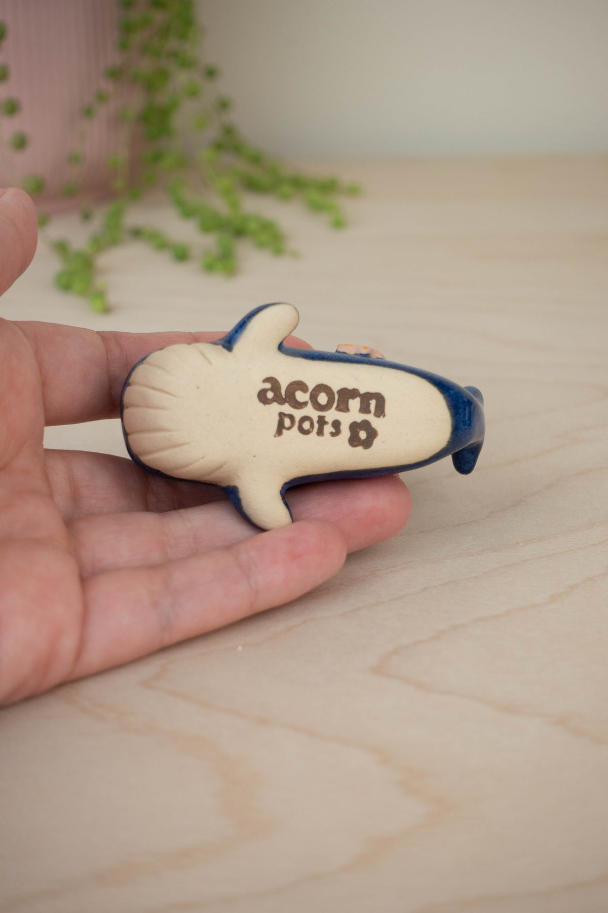 Mini Blue Whale