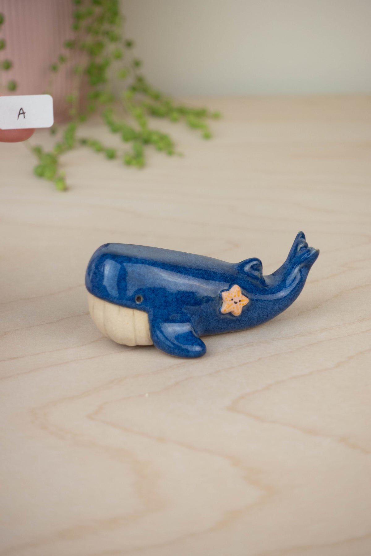 SECOND Mini Blue Whale
