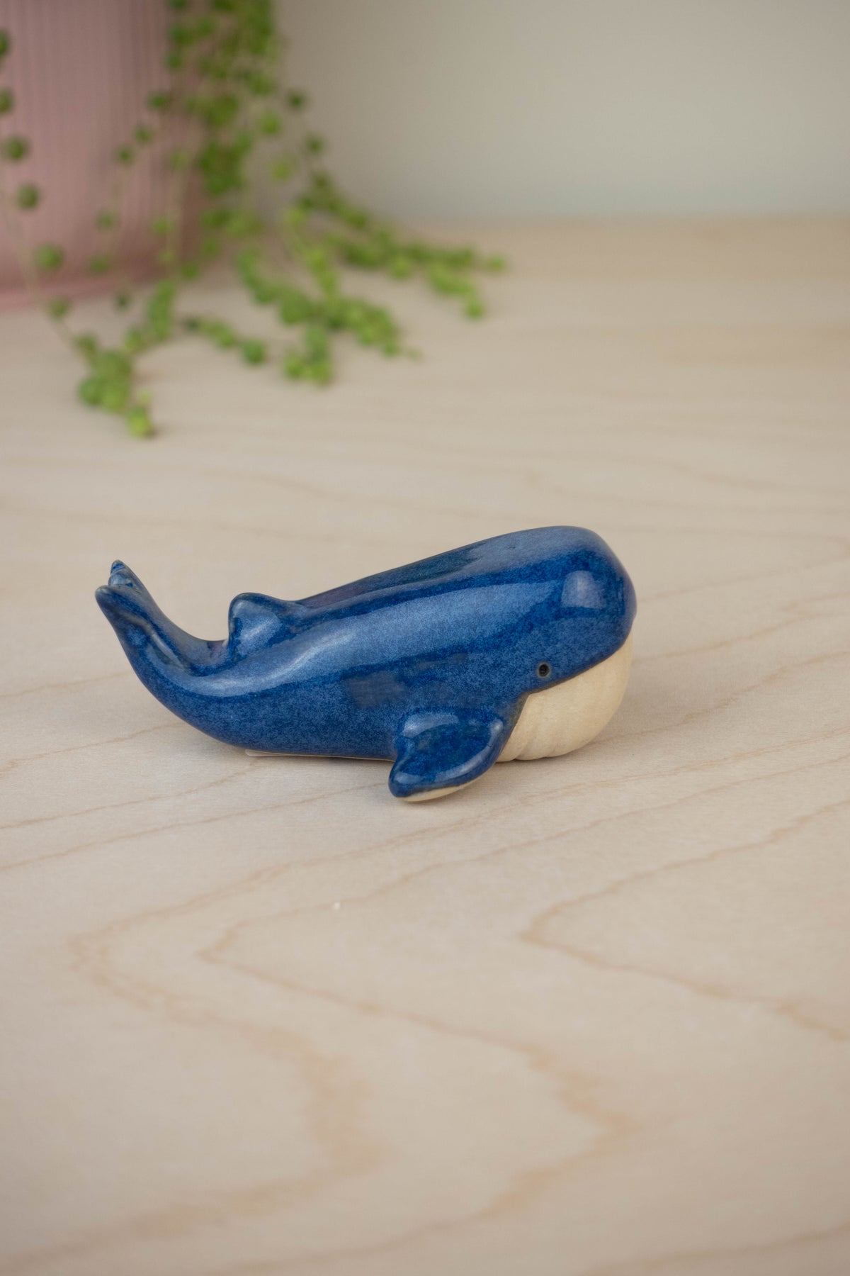 SECOND Mini Blue Whale