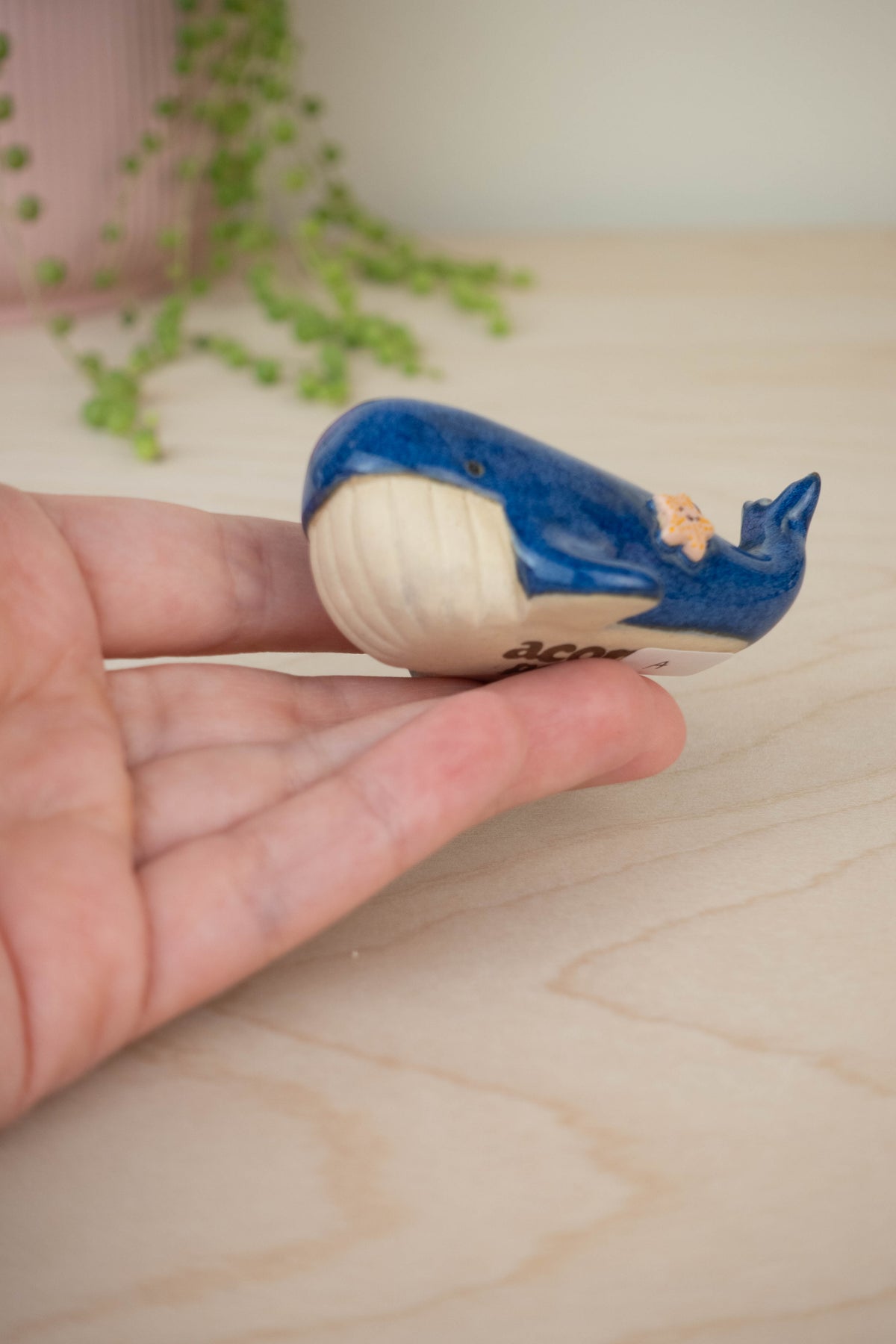 SECOND Mini Blue Whale