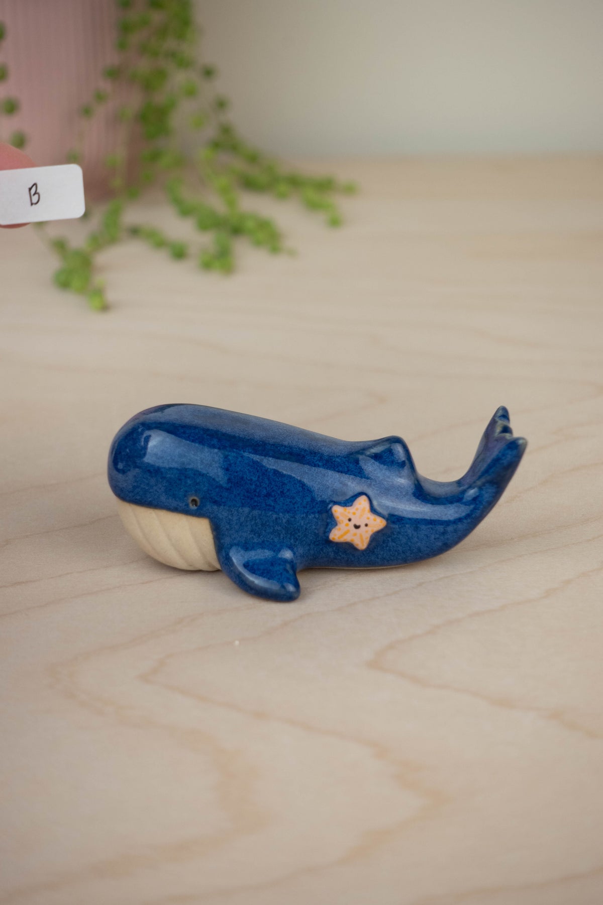 SECOND Mini Blue Whale