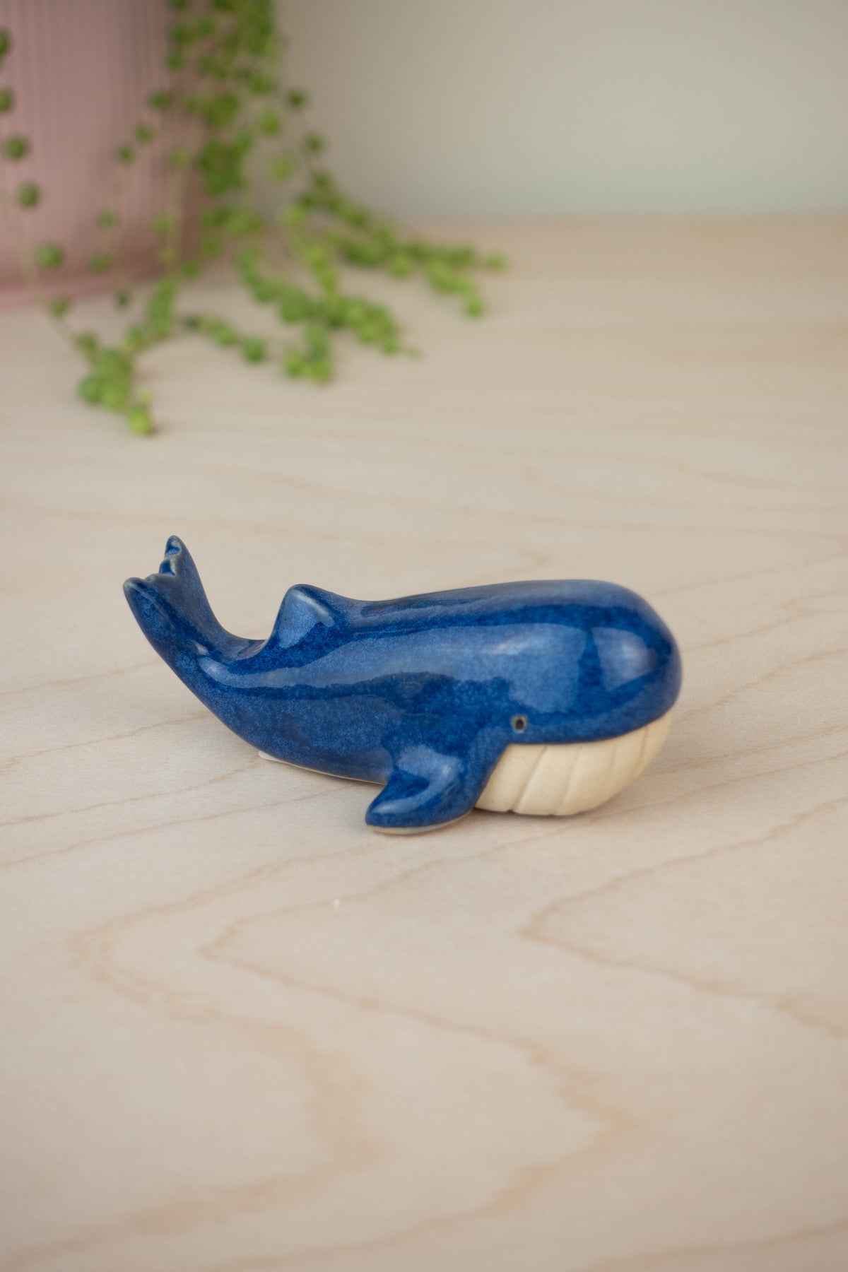 SECOND Mini Blue Whale