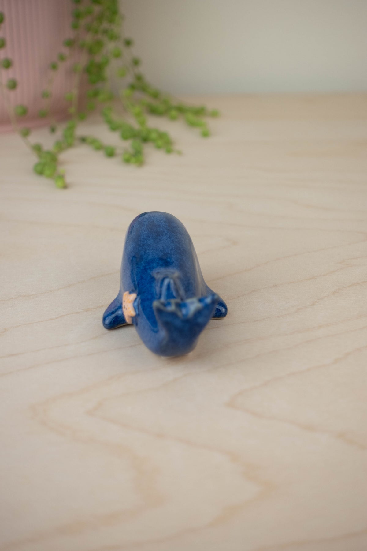 SECOND Mini Blue Whale