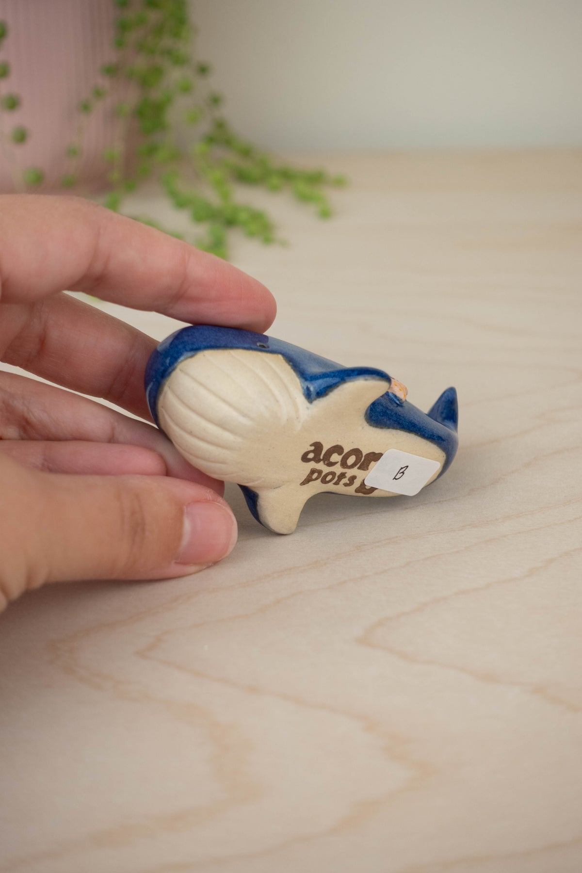 SECOND Mini Blue Whale