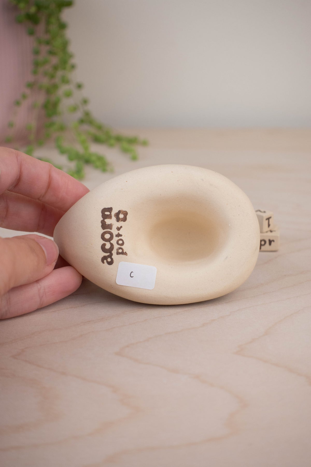 Snail Calendar C